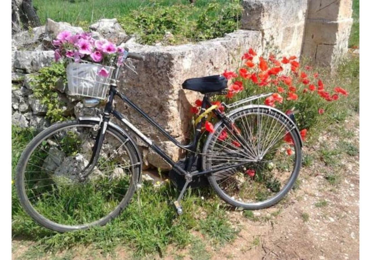 Mansarda romantica Il nido delle rondini Conversano Esterno foto